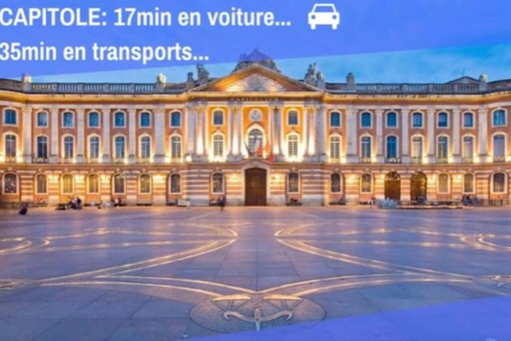 Appartement Cosy Avec Jardin A Blagnac. Eksteriør bilde
