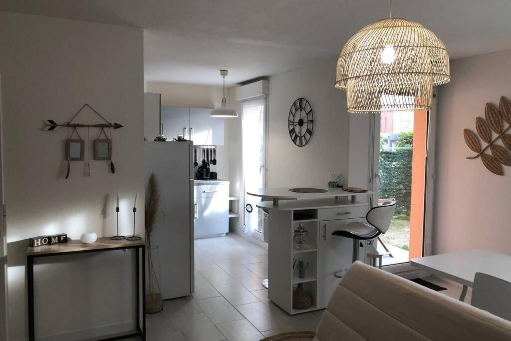 Appartement Cosy Avec Jardin A Blagnac. Eksteriør bilde