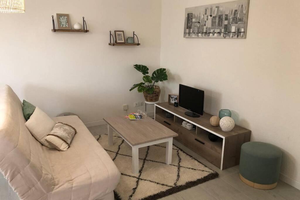 Appartement Cosy Avec Jardin A Blagnac. Eksteriør bilde